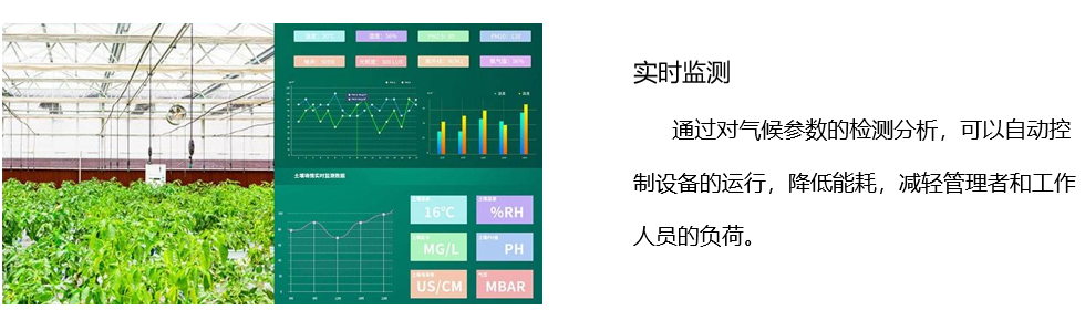 智能溫室1.jpg